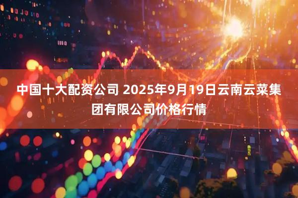 中国十大配资公司 2025年9月19日云南云菜集团有限公司价格行情